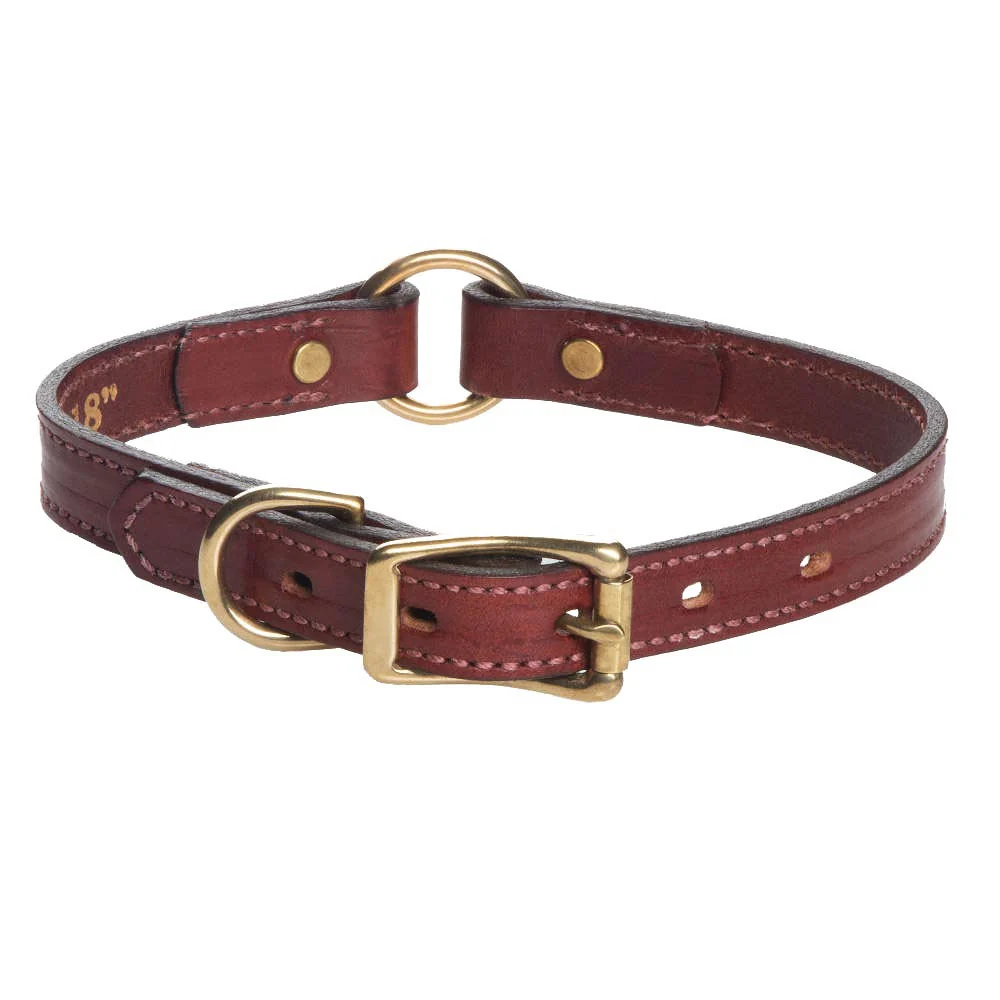 Dog Collars
